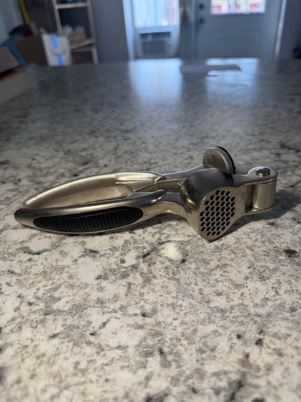 Alpine Cuisine Heavy Duty Zinc Alloy Garlic Press Silver